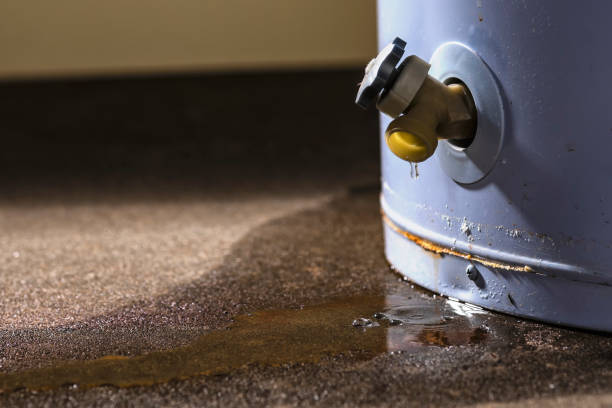 Best 24/7 water damage repair  in Gholson, TX