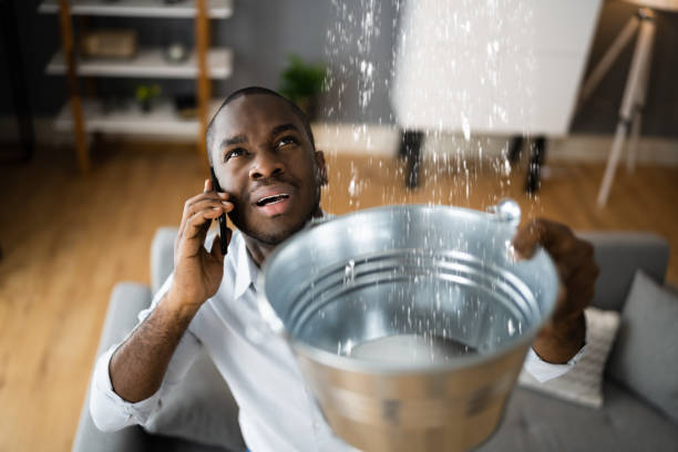 Best Carpet water damage restoration  in Gholson, TX