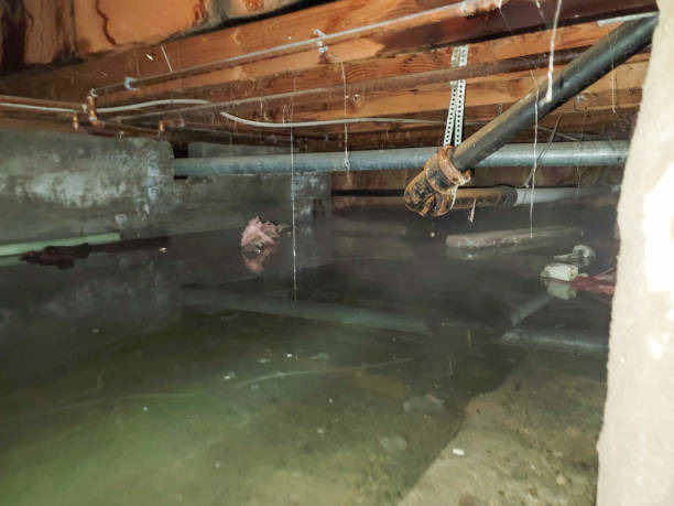 Best Water damage mitigation services  in Gholson, TX