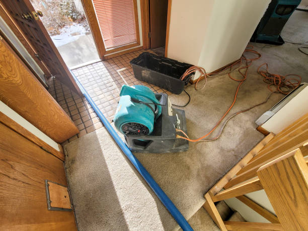 Best Professional water damage repair  in Gholson, TX