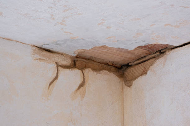 Best Water damage restoration near me  in Gholson, TX