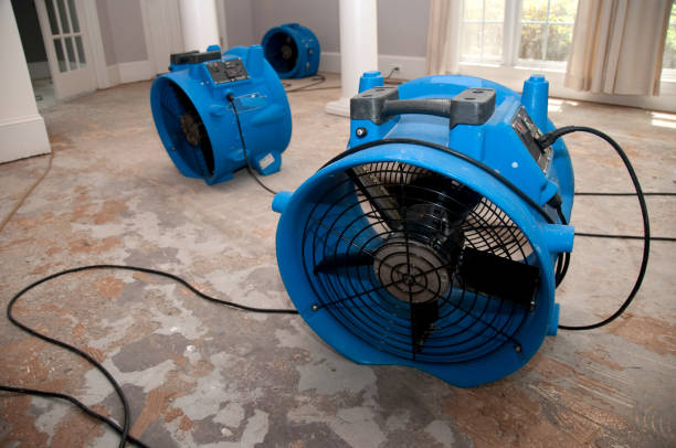 Best Water damage cleanup near me  in Gholson, TX
