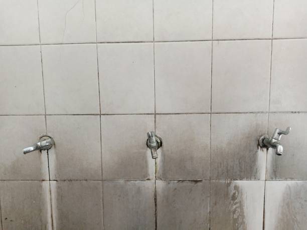 Best Water damage cleanup near me  in Gholson, TX