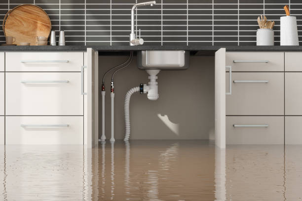 Best Residential water damage restoration  in Gholson, TX