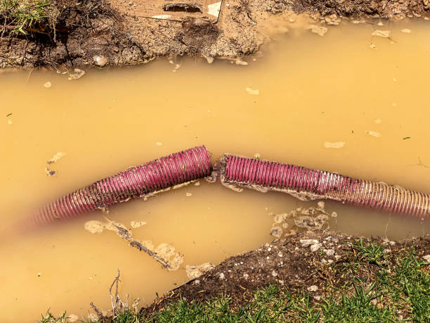 Sewage cleanup and water damage restoration in Gholson, TX